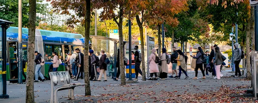 A long line of passengers boarding a crowded bus on a sunny day in autumn