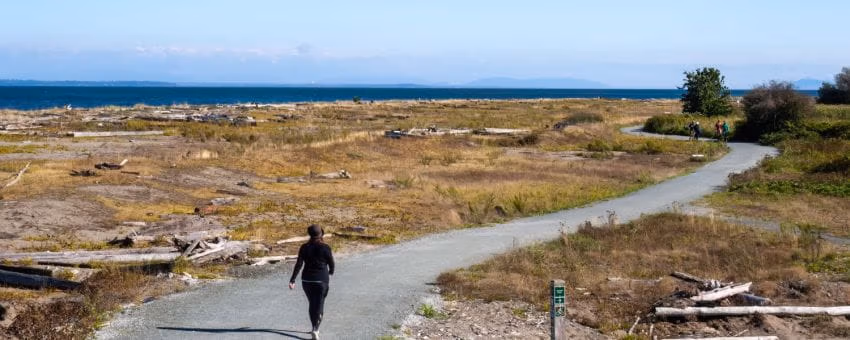 A person walking along Centennial Beach