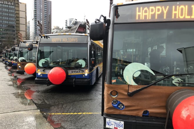 9 Reindeer Buses lined up for December 2020