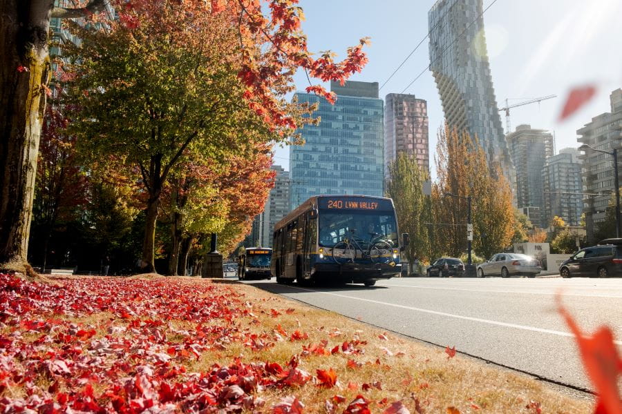 Route 240 bus driving downtown with fall foliage in foreground